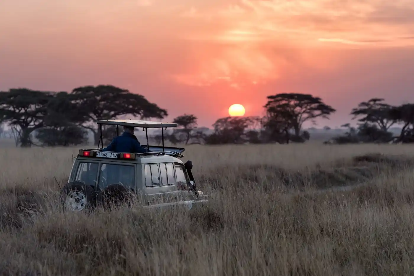 Ranthambore Safari Break