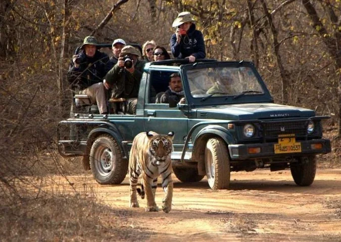 Jeep Safari Booking 1